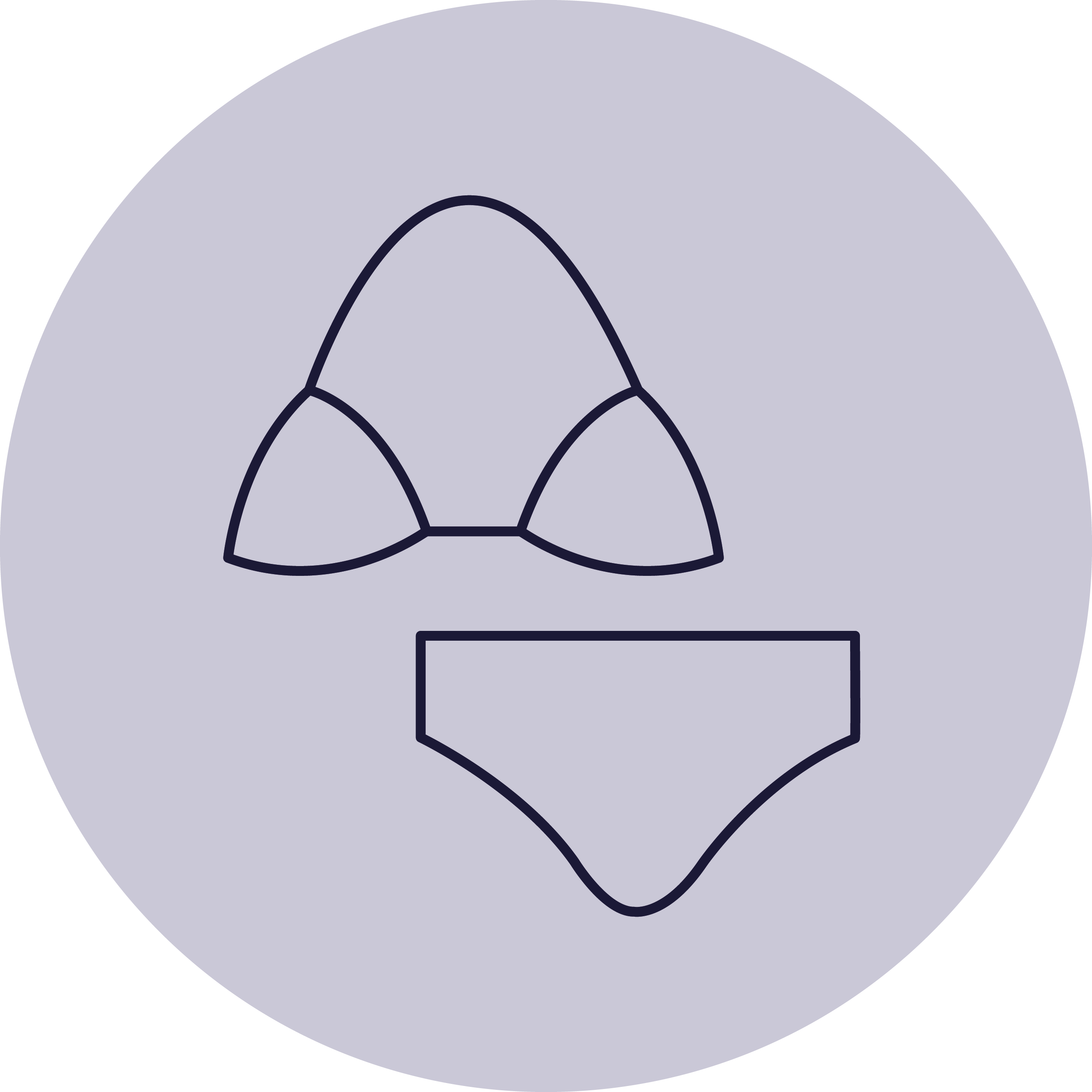 Das Symbol zeigt eine stilisierte Darstellung eines Triangel-Bikinis mit einem Oberteil in Form von zwei Dreiecken und einem Bikinihöschen, innerhalb eines grauen Kreises.