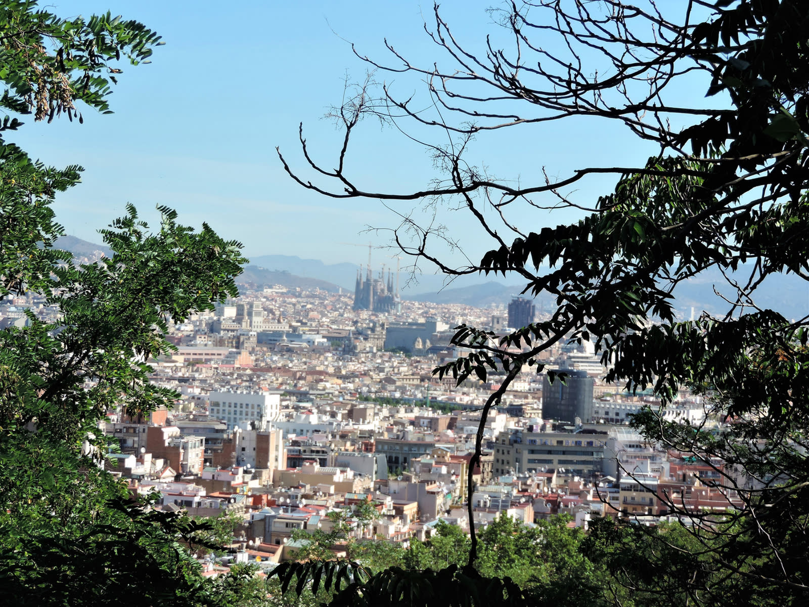 Panoramautsikt over Barcelona - \nFoto: Getty Images