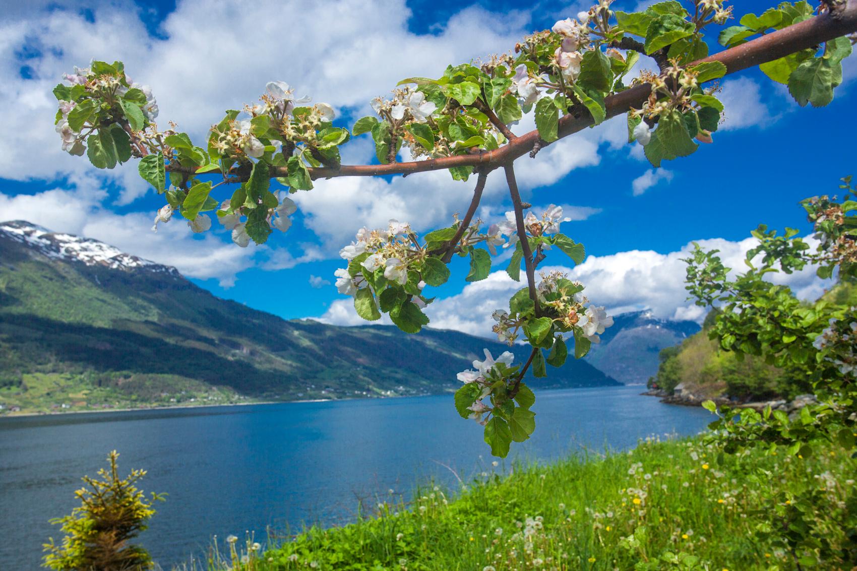 Lofthus i Hardanger – opplev Ullensvang
