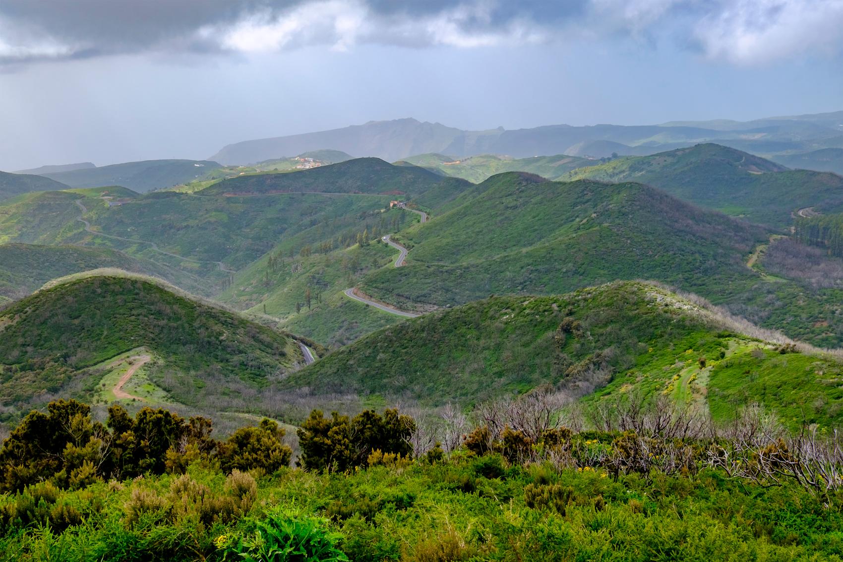 Utsikt over La Gomera fra Alto de Garajonay - Foto: Getty Images