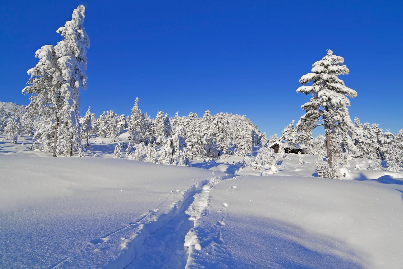 Tips til skiferie i Vrådal og Gautefall