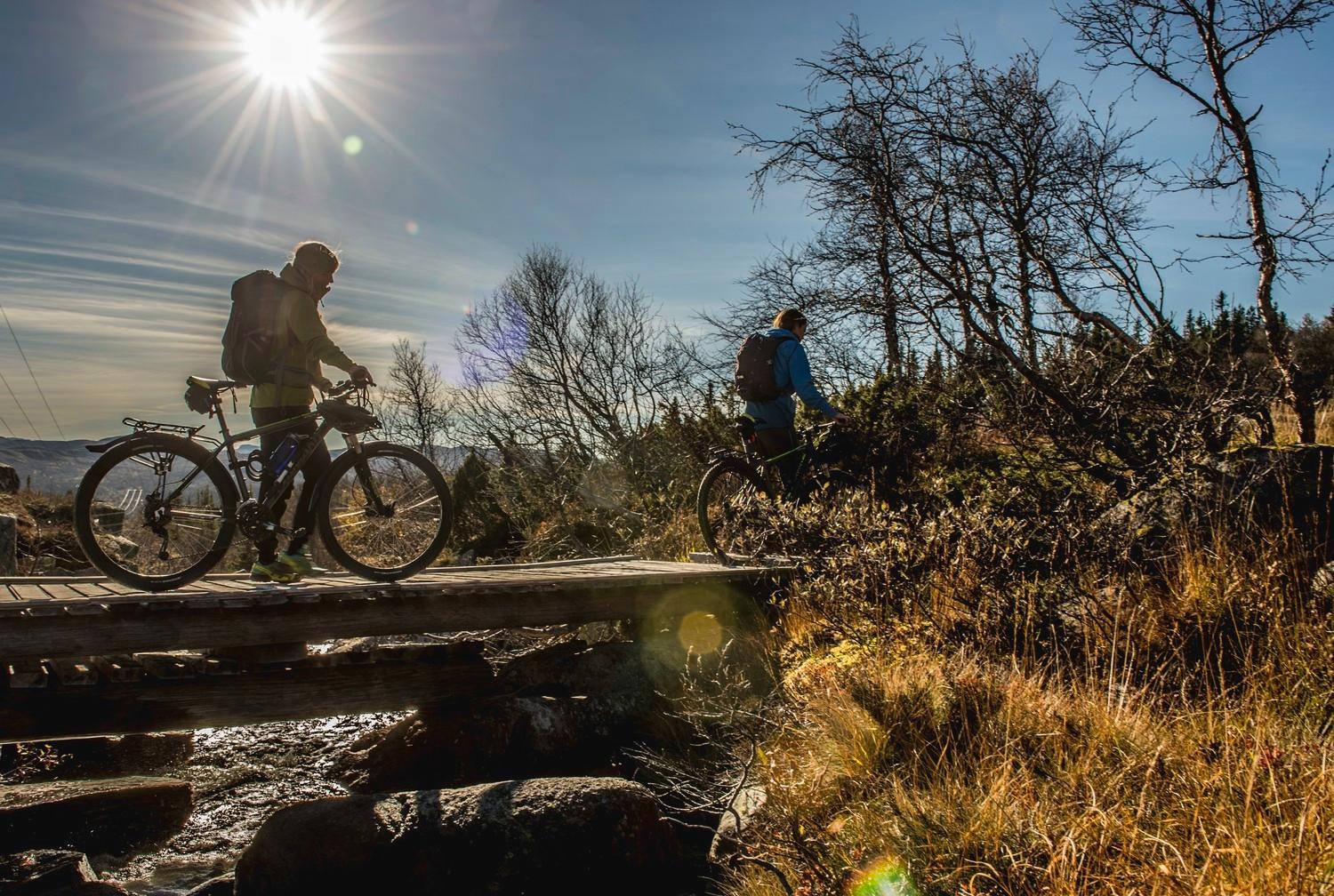 Idyllisk sykkeltur på Hardangervidda - Foto: Thomas Rasmus Skaug / Visitnorway.com
