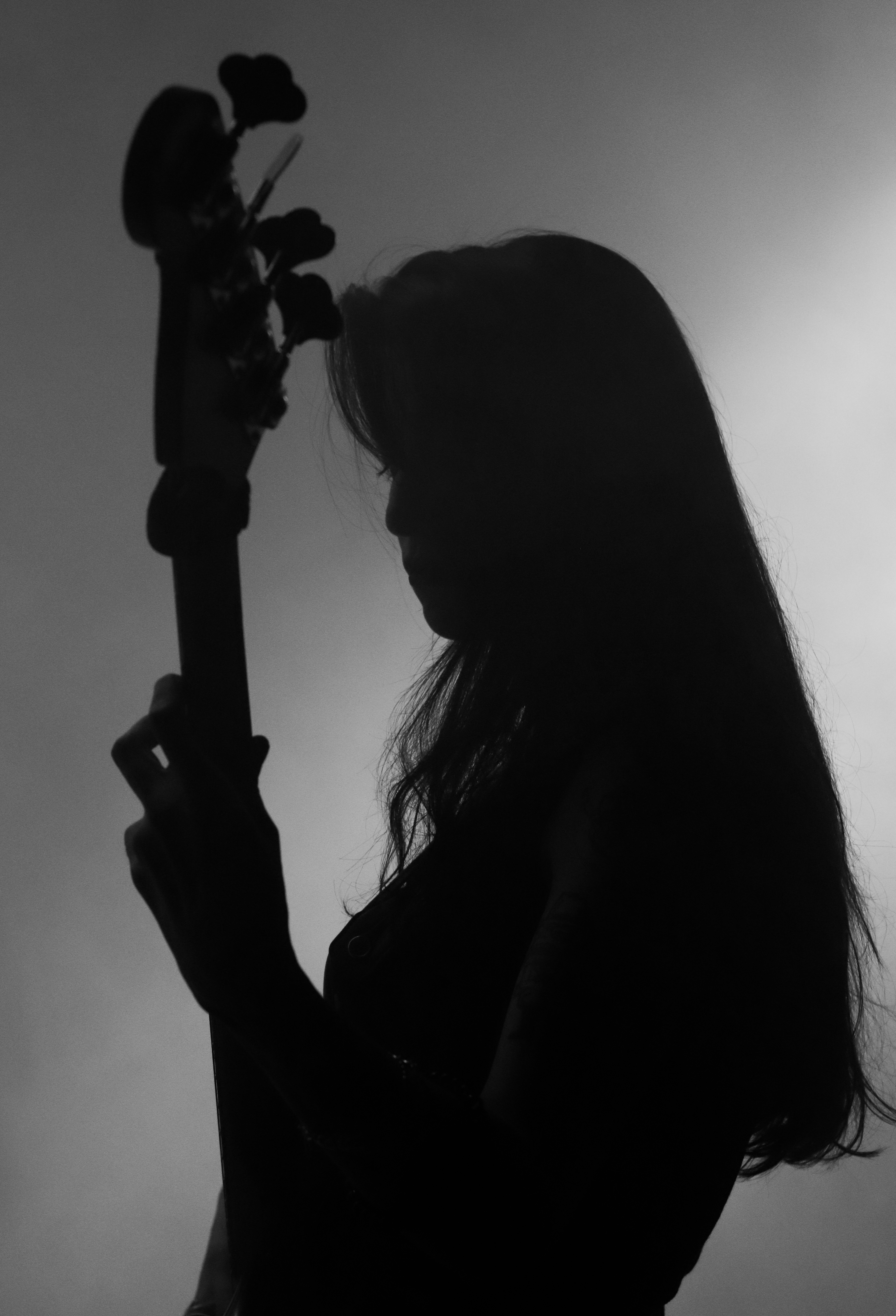 Elefante Guerrero Psíquico Ancestral