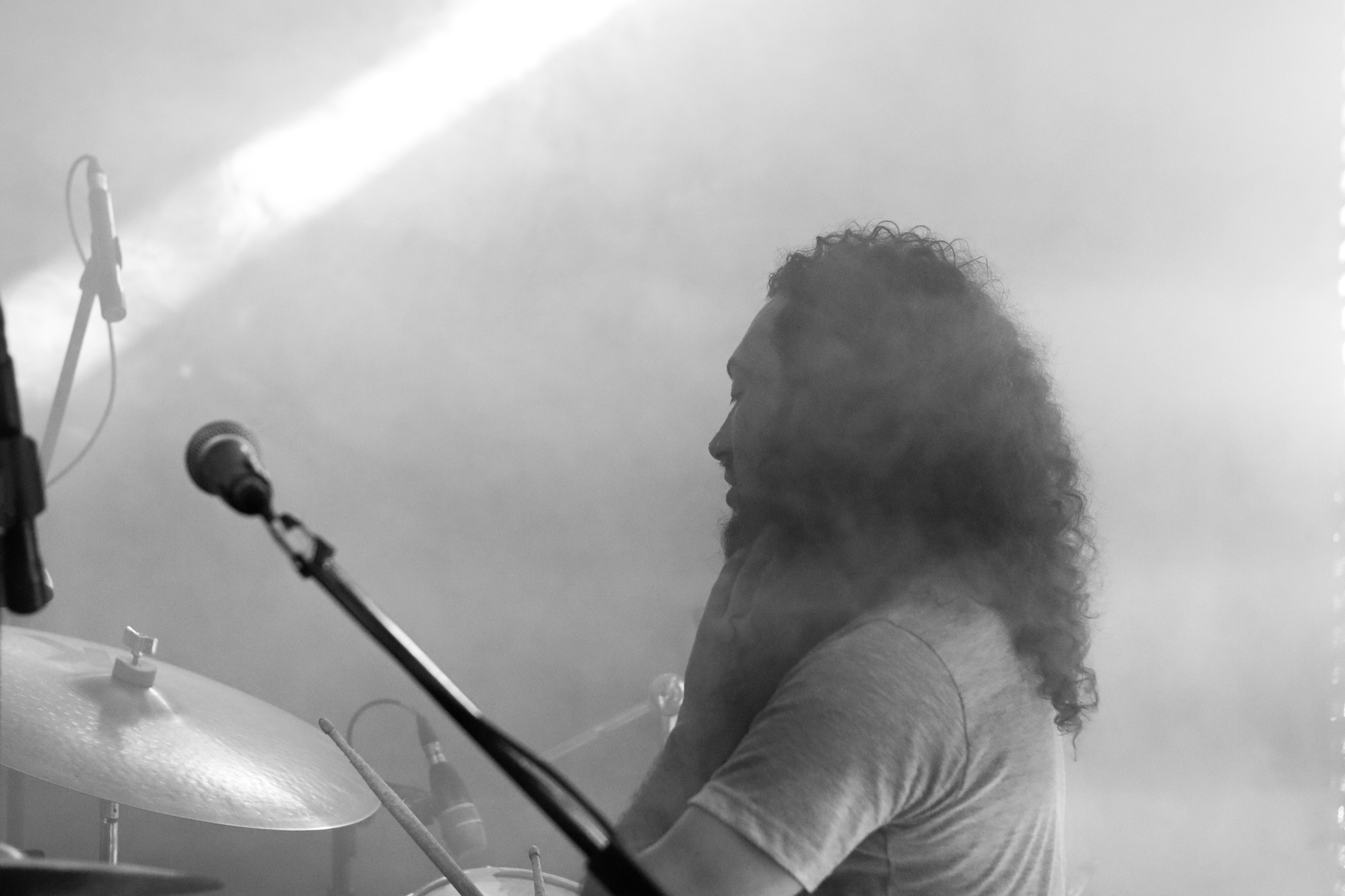 Elefante Guerrero Psíquico Ancestral