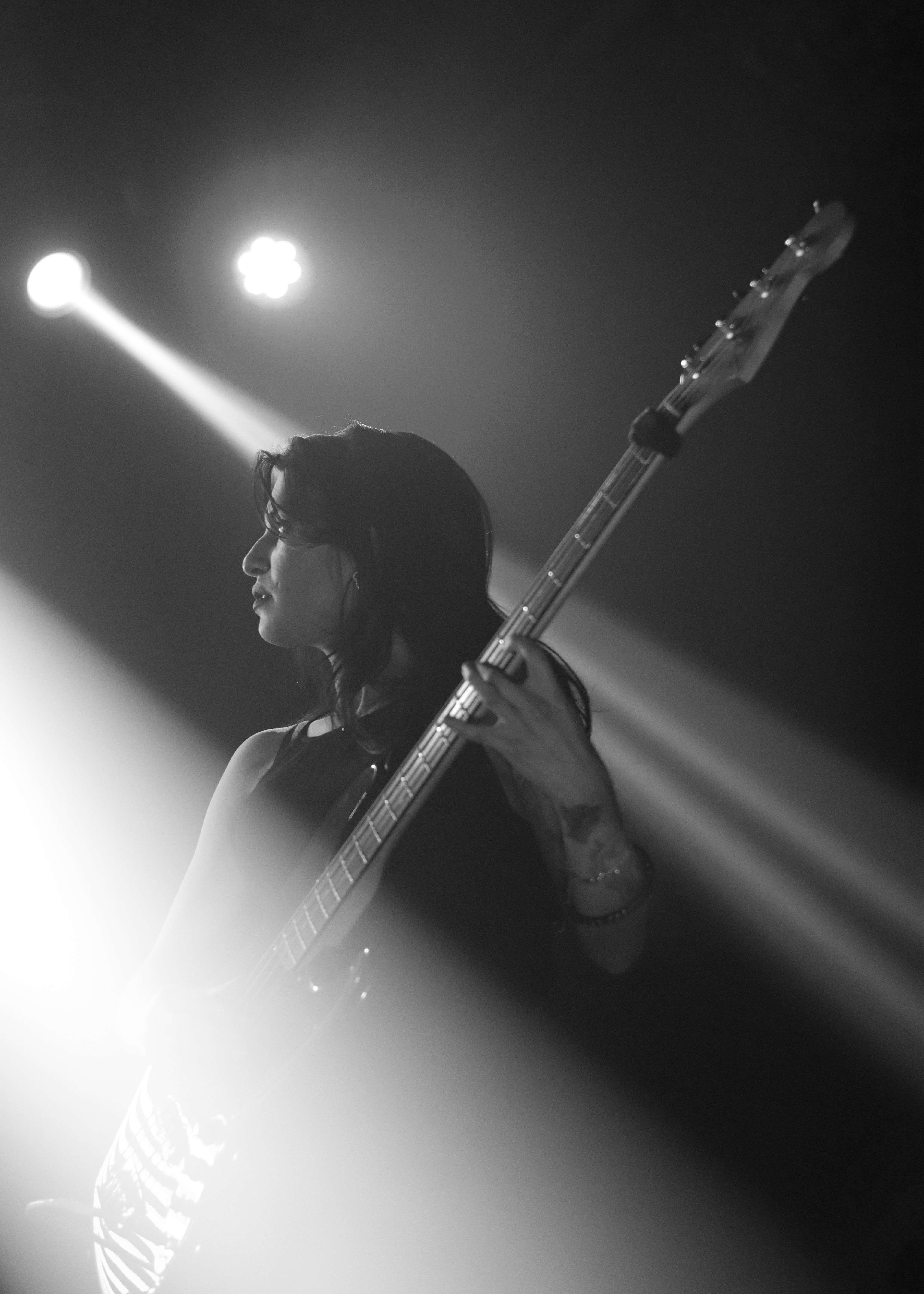 Elefante Guerrero Psíquico Ancestral