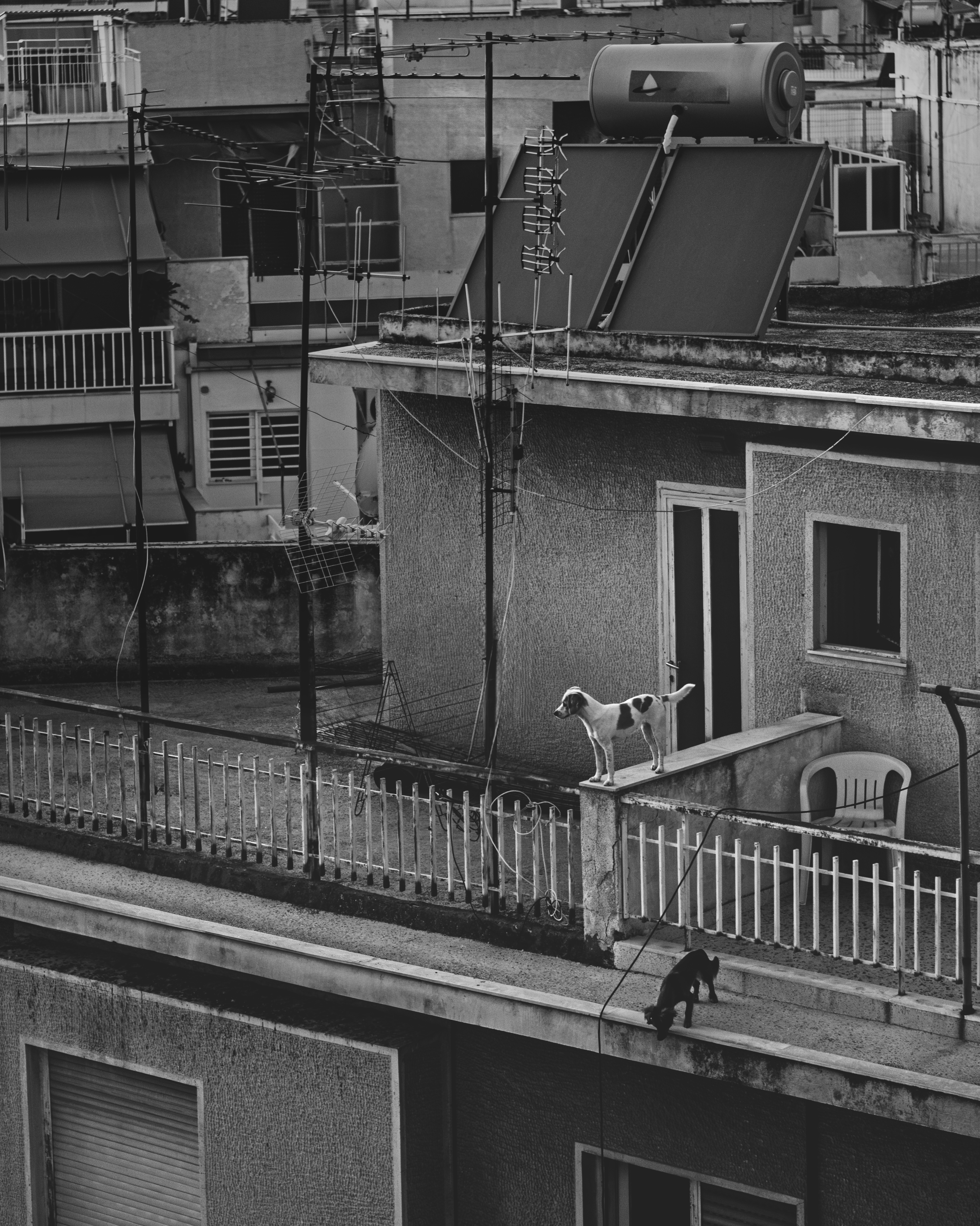 Concrete Territory Dark