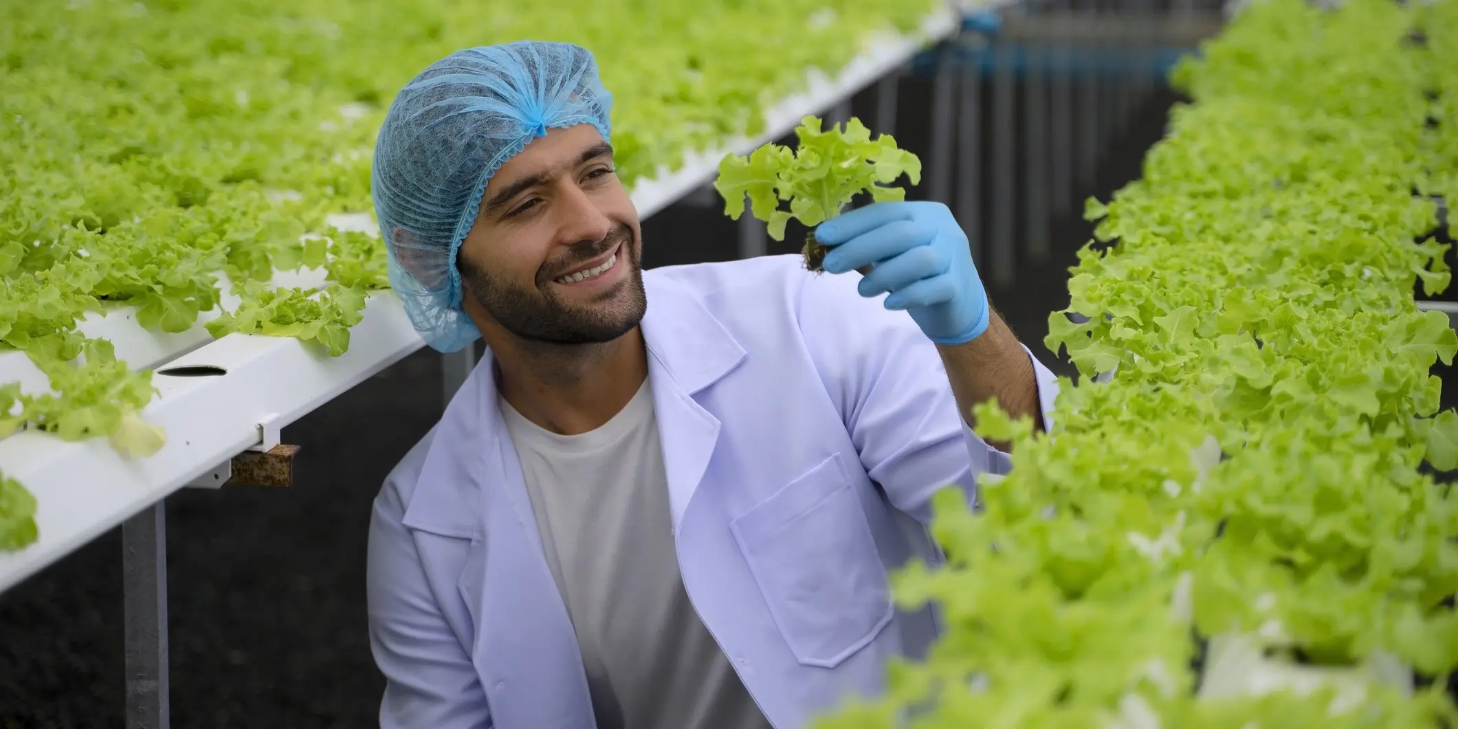 Agricultural article thumbnail