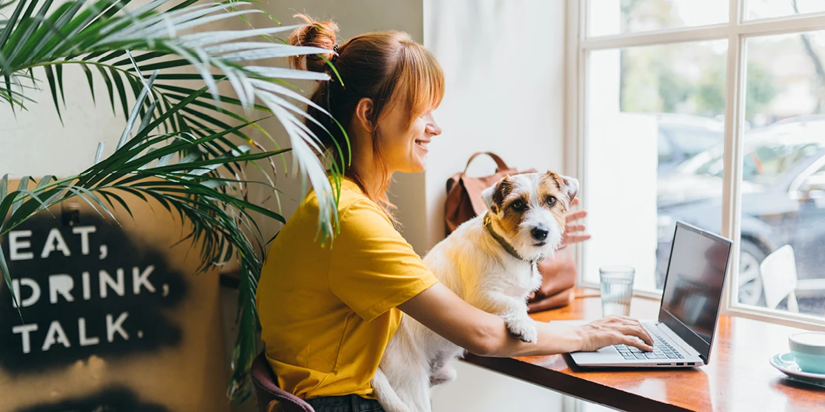 PT - Workplace Wellbeing Guide 1200x600 Image