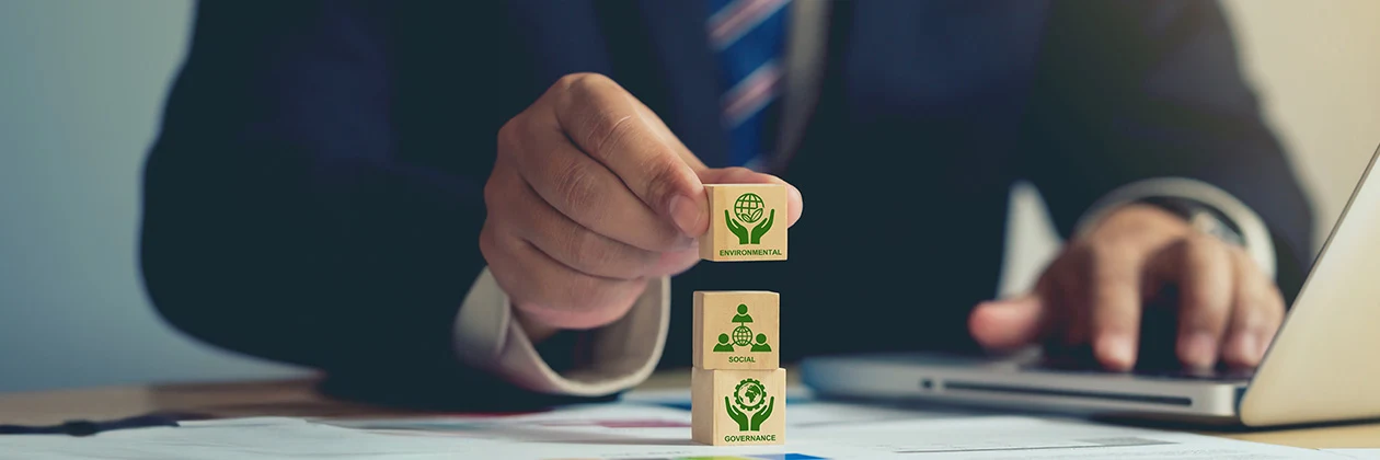 CZ - ESG reporting. řízení podniku Image