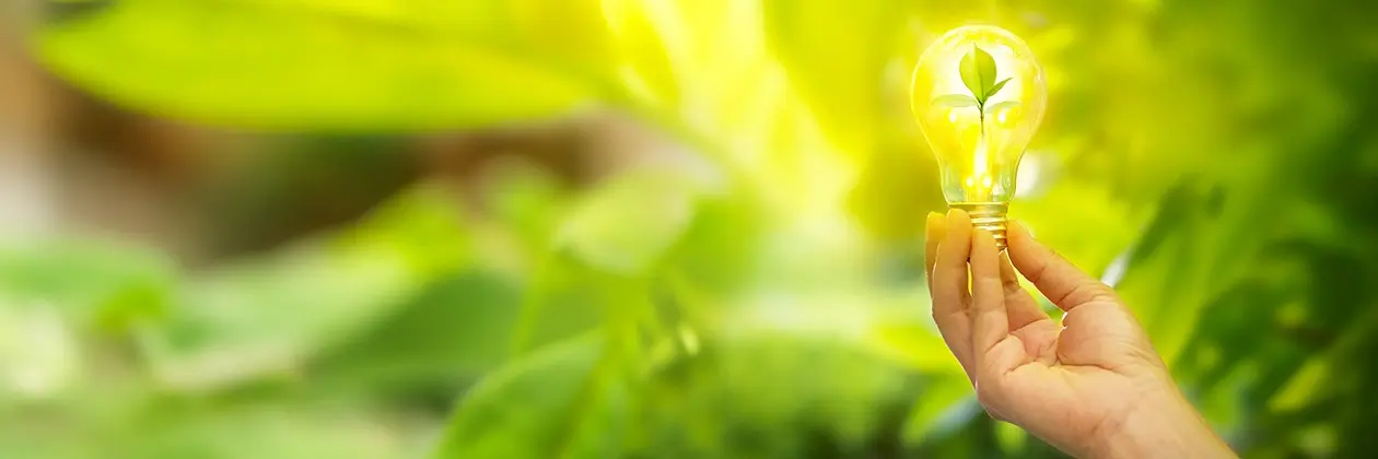 CZ - ESG reporting. enviromentální faktory Image