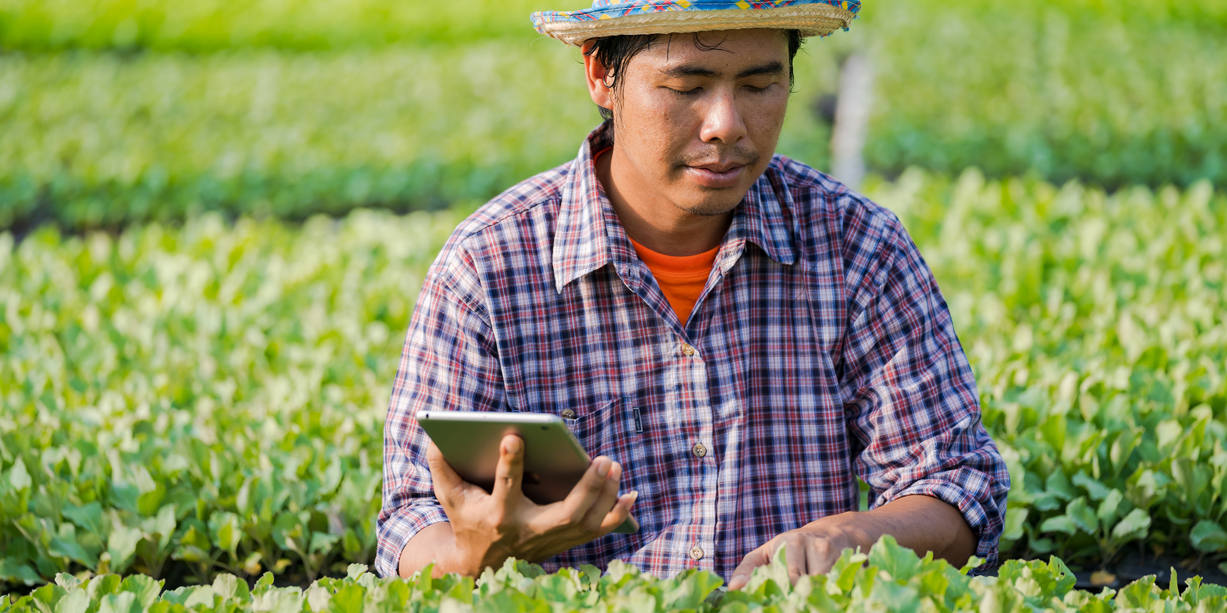 This is what an app offers to keep customers coming back