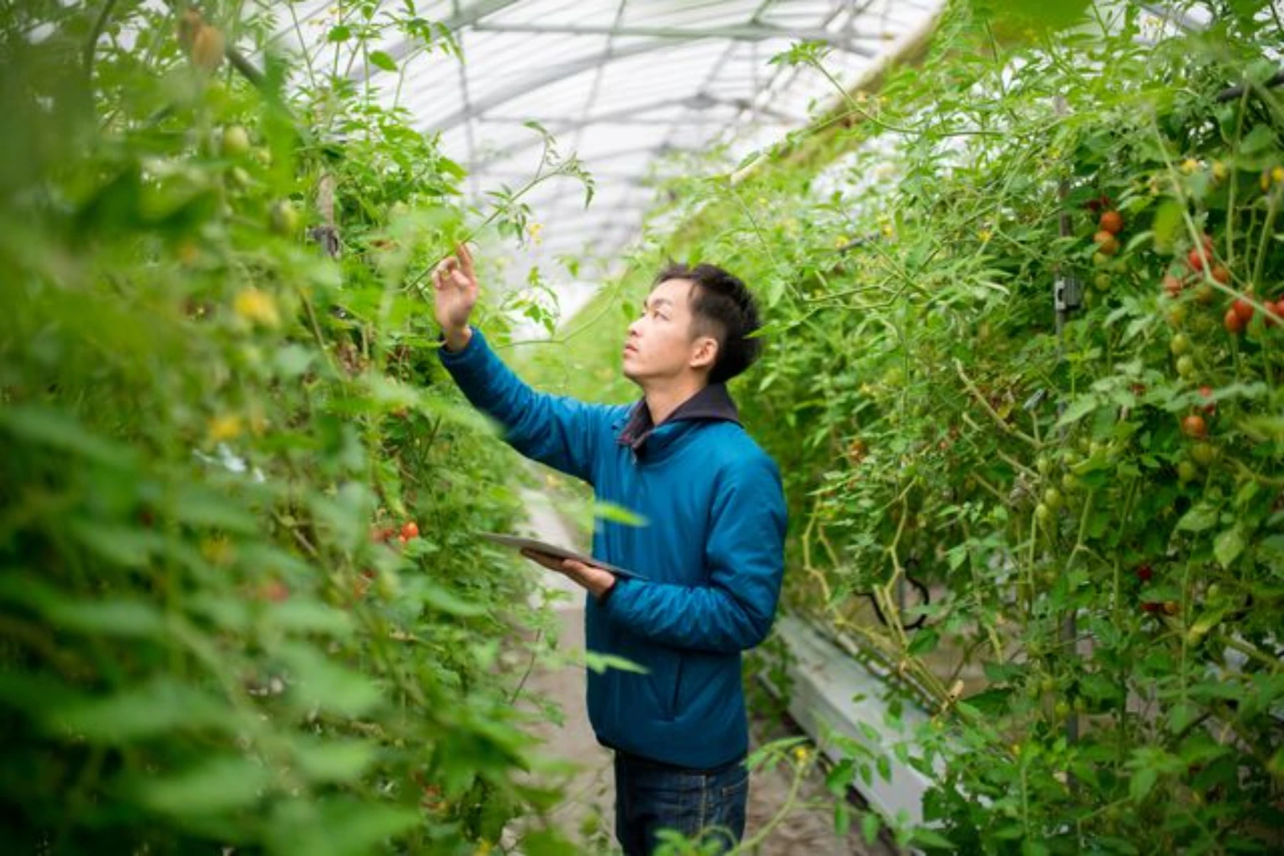 How to show customers your sustainability efforts