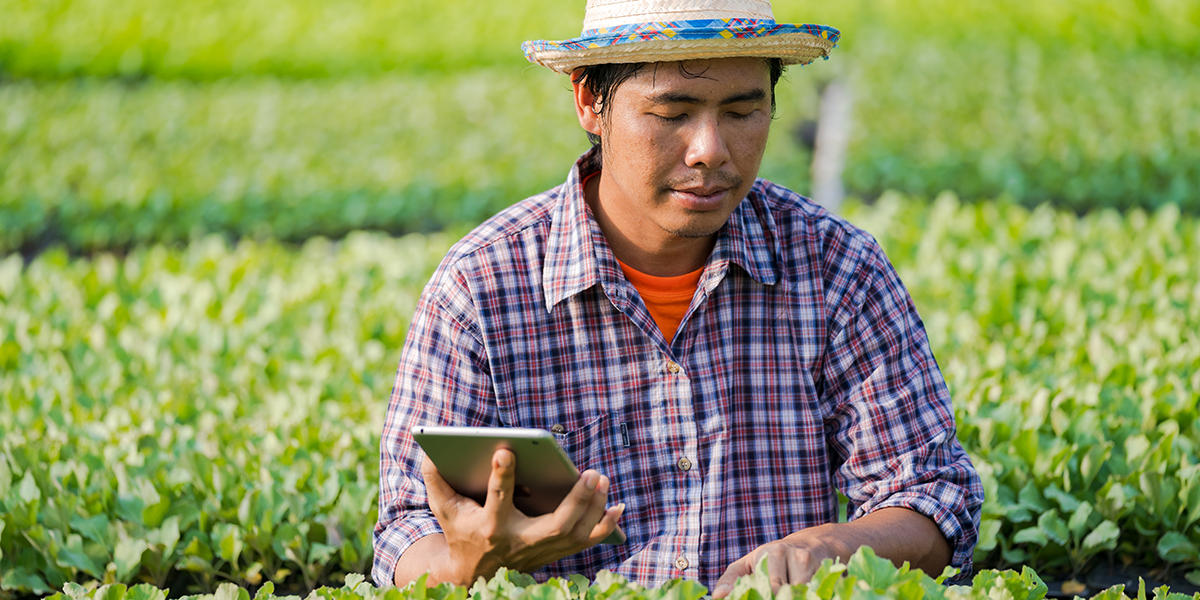 VHUB Blog-ARTICLE 12 - 1200x600