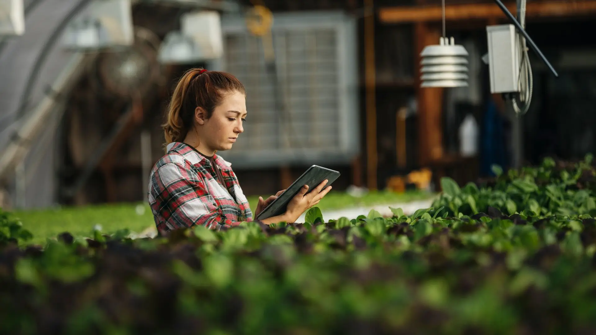 ZA - sustainability - product1 - Ratio 16 9-VF TogetherWeCan Woman Tablet Device Farm RGB Image