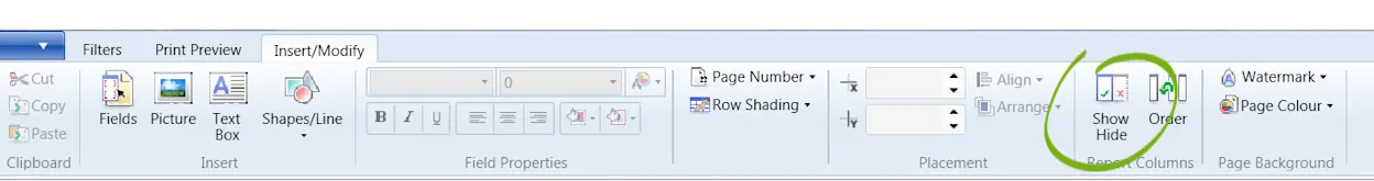 Report Ribbon In Hyperview Displaying a report