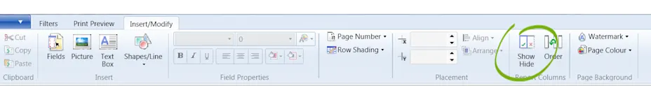 Report Ribbon In Hyperview Displaying a report