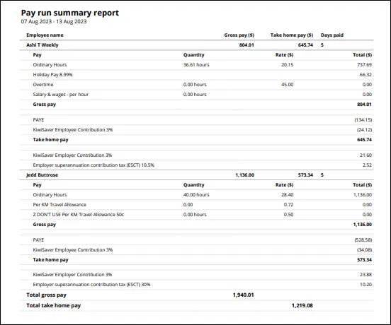 Pay summary report