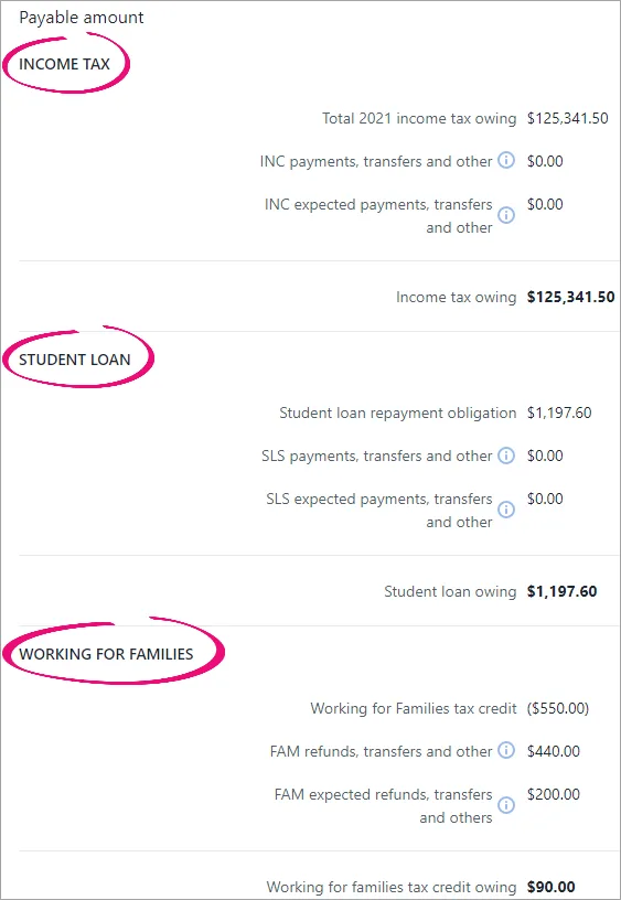 Payable amount section with the subsection titles income tax, student loan and working for families highlighted.