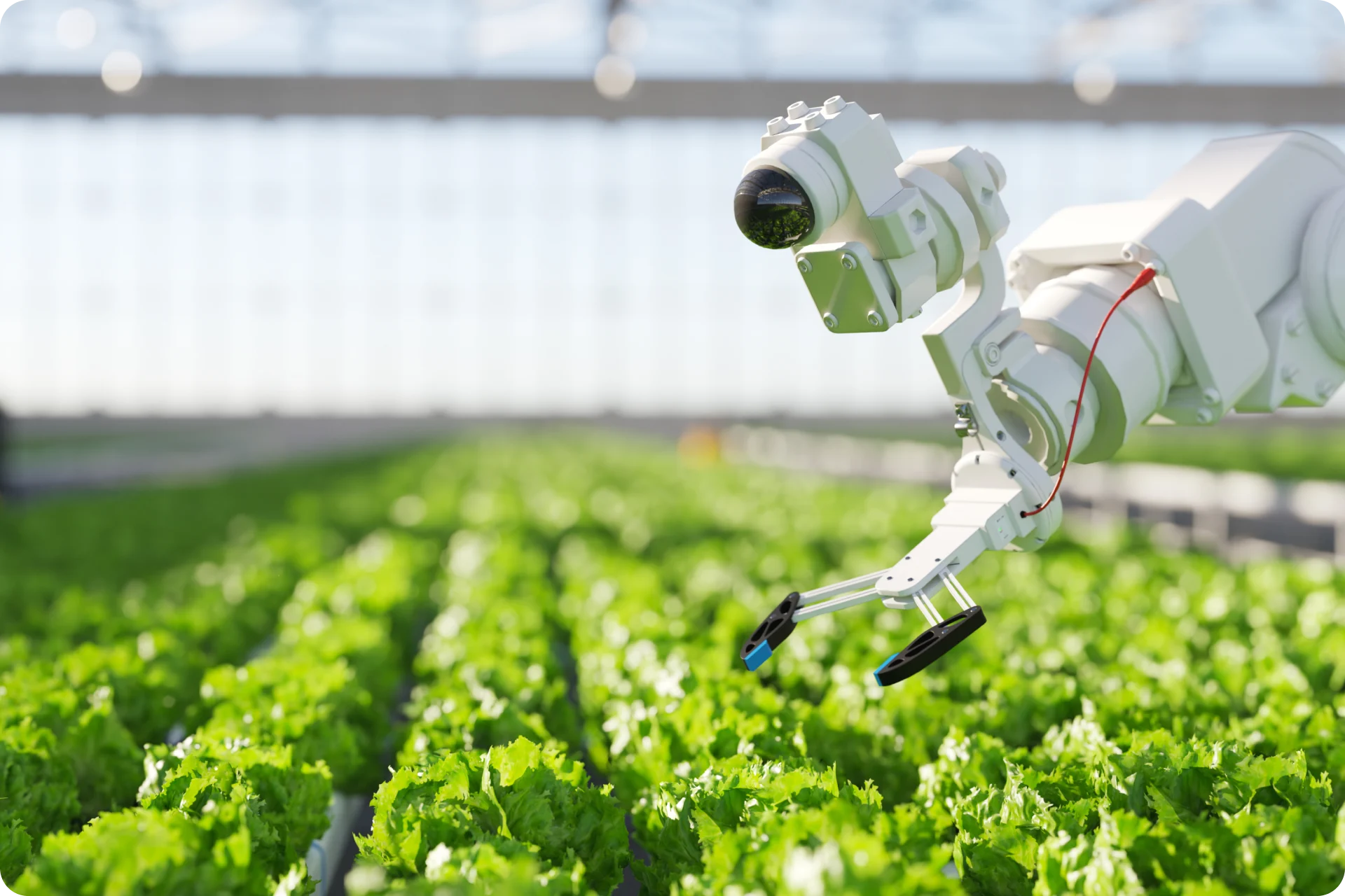 White robotic arm with camera monitoring rows of green lettuce in a modern indoor farming facility