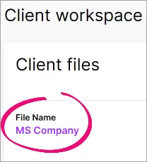 File Name in the Client workspace