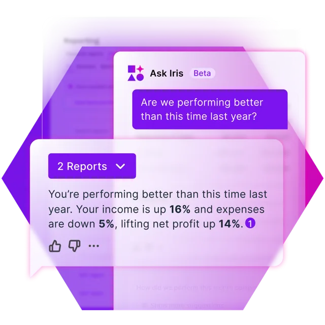 Ask Iris AI chat interface showing a query about year-over-year performance, with a response highlighting 16% income growth and 14% net profit increase.