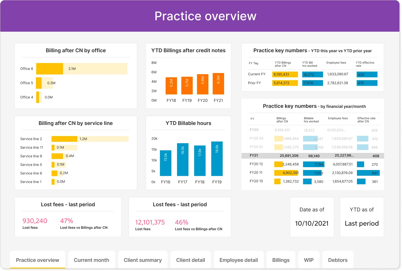 Graphic-showing-practice-overview-for-professional-services-firms