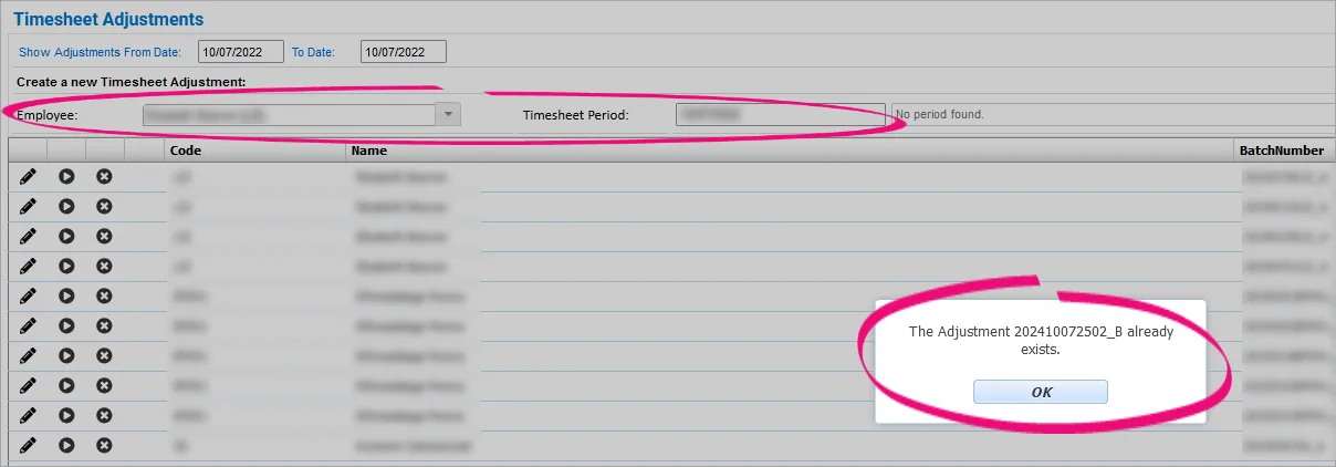 Timesheet Adjustments Employee and Timesheet Period fields and Adjustment exists message