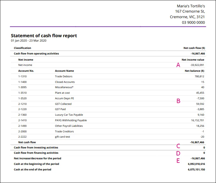 Statement of cash flow report example