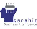 True Business Intelligence (BI) tool set includes Data Cube, pivots and more