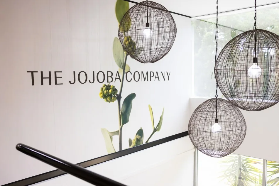 The-Jojoba-Company-stairwell-and-light-pendants