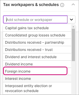 Tax workpapers & schedules panel with "Foreign income" highlighted.