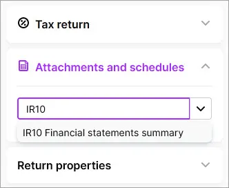 IR10 entered in the Attachments and schedules search bar and IR10 Financial statements summary displayed