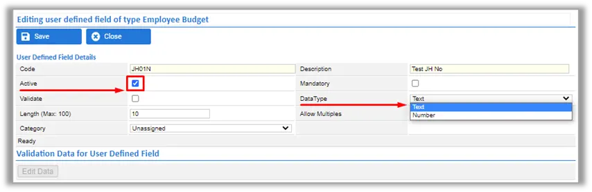 Editing user defined field of type Employee Budget Activet selected and Data Type text