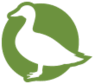 USA Duck