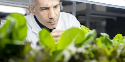 researcher working with plants