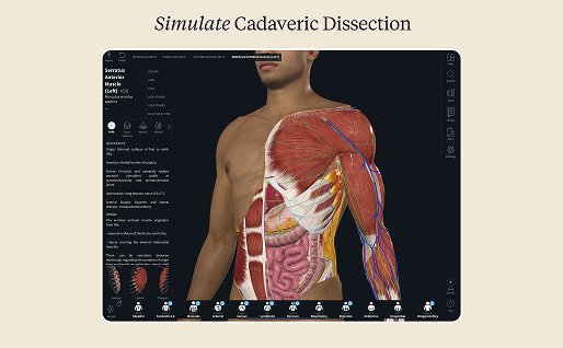 Complete anatomy platform