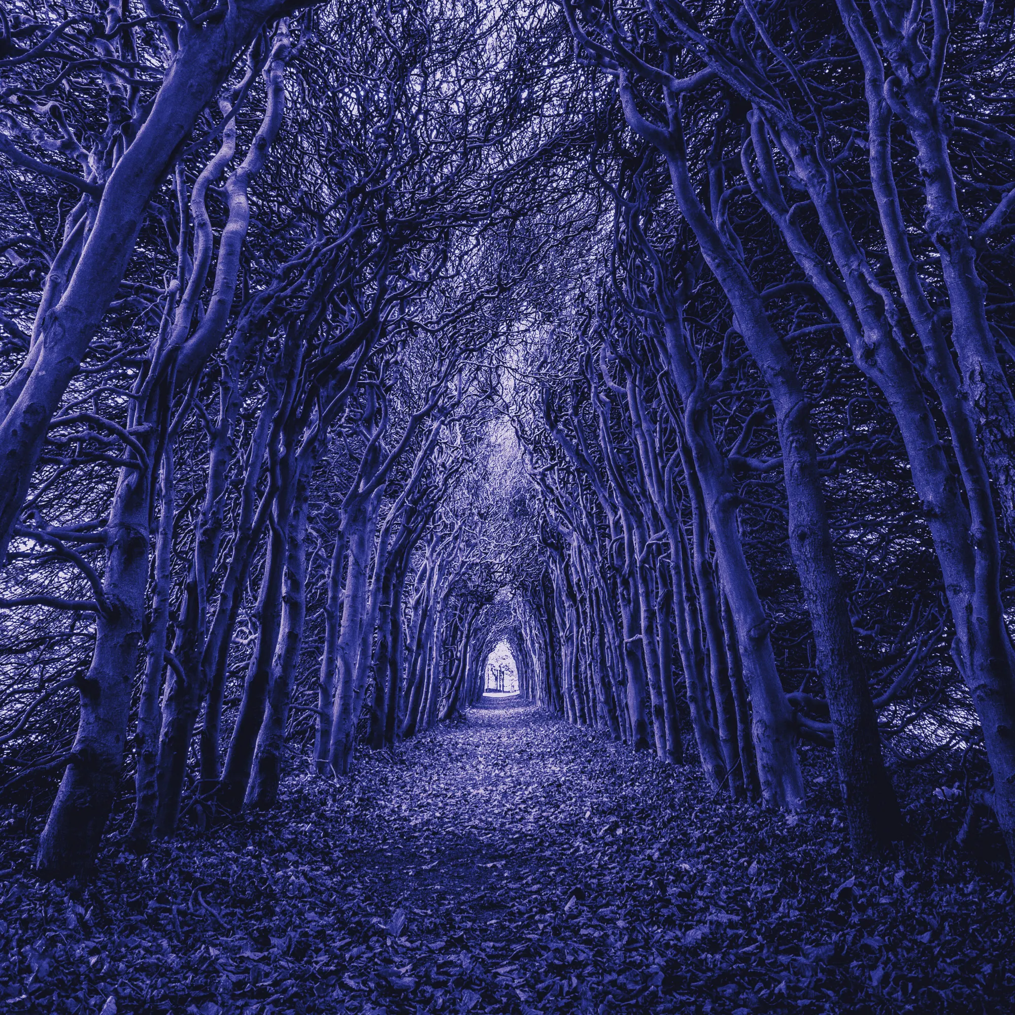 Spooky Privilege Pathways