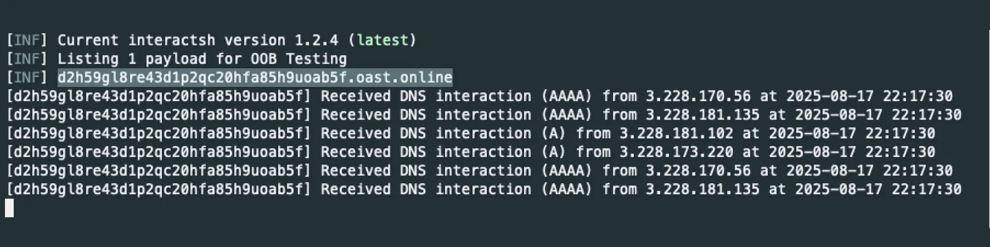 AWS Bedrock DNS query reached server despite configuration 2