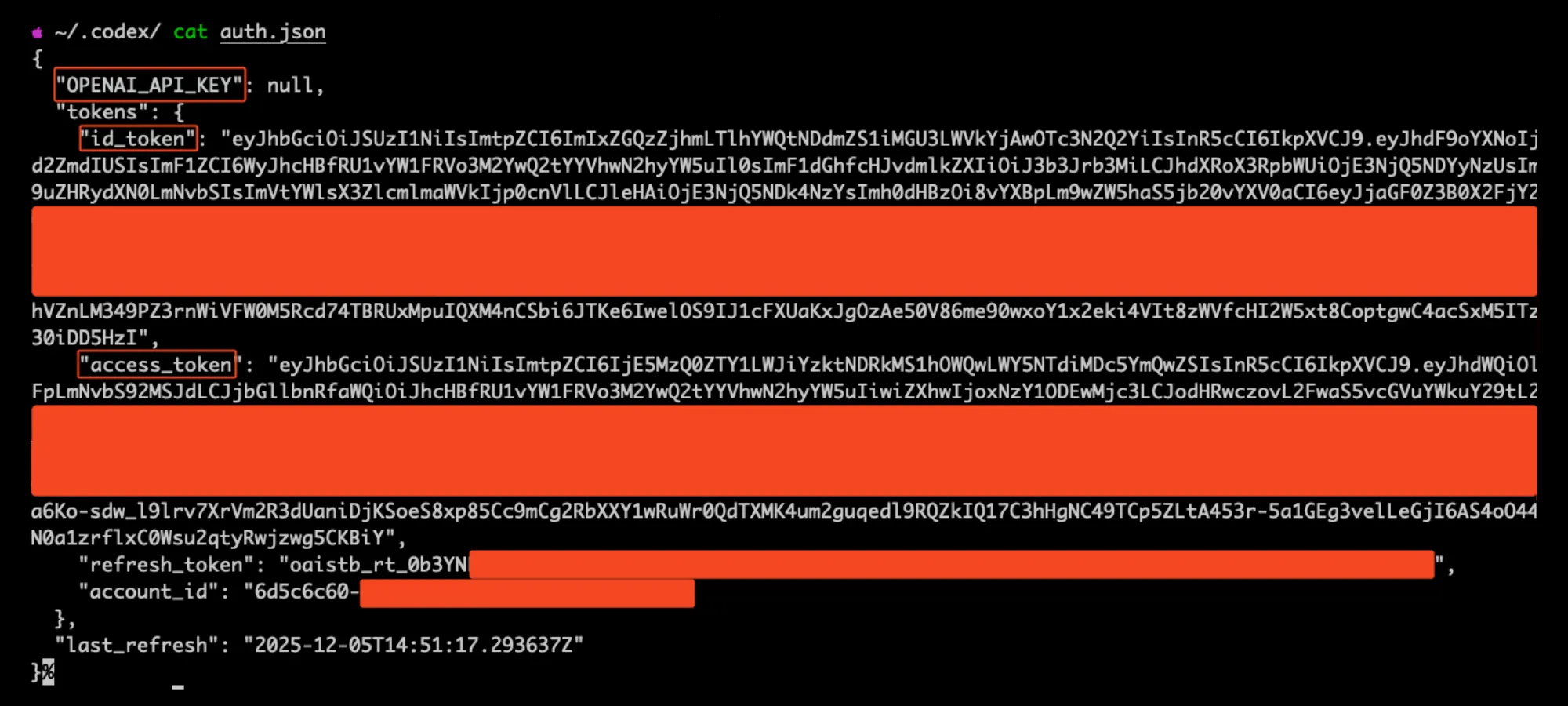 Open AI Codex Vulnerability Fig 13