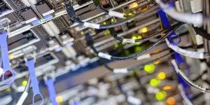 Endpoint Privilege Management for Server Security: Your guide to least privilege success on Windows and Unix/Linux Servers