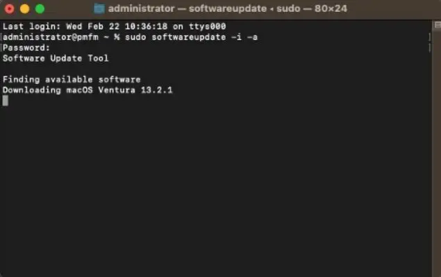 Sudo Example