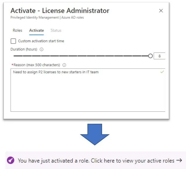 User View Azure Pim Portal