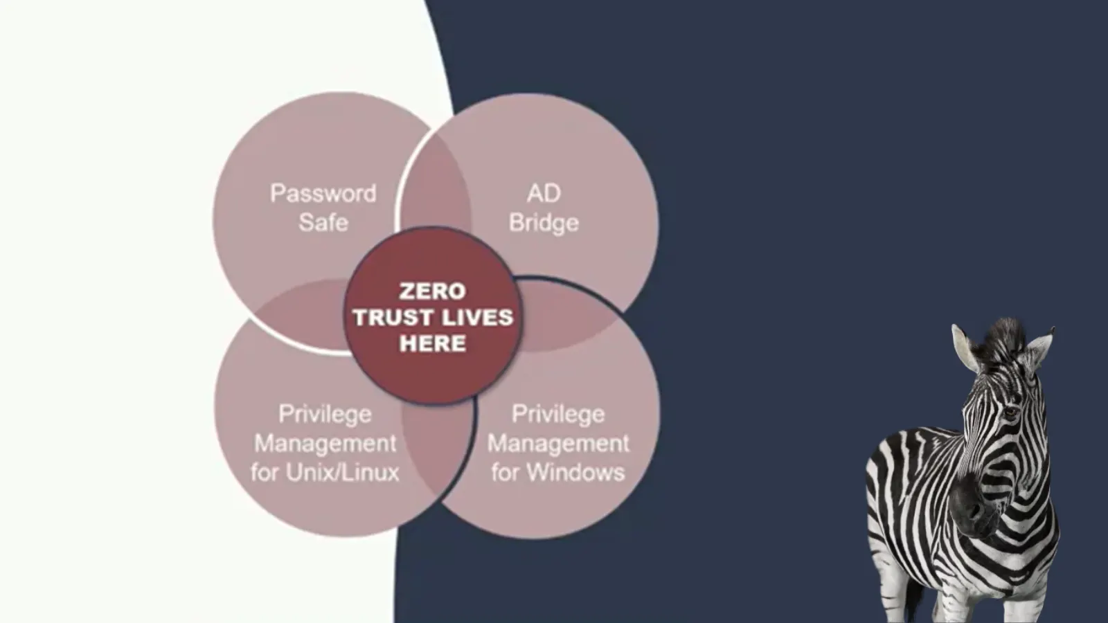 Zero Trust Stack