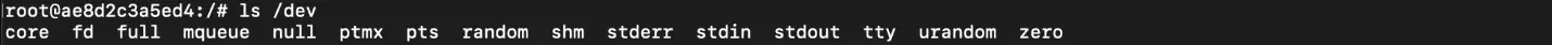 Standard Container Dev Directory
