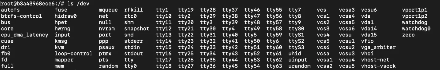 Privileged Container Dev Directory