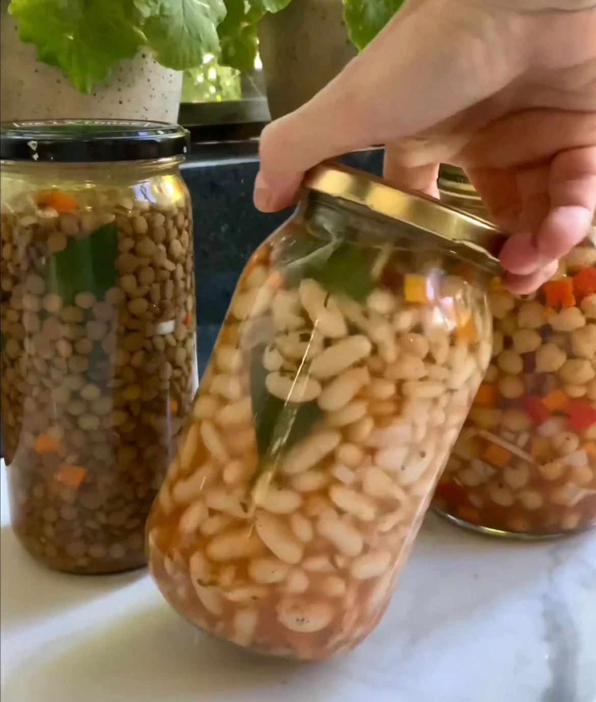 Escabeche de legumbres