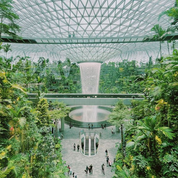 Projetando Espaços: A Ligação entre Arquitetura e Saúde Mental