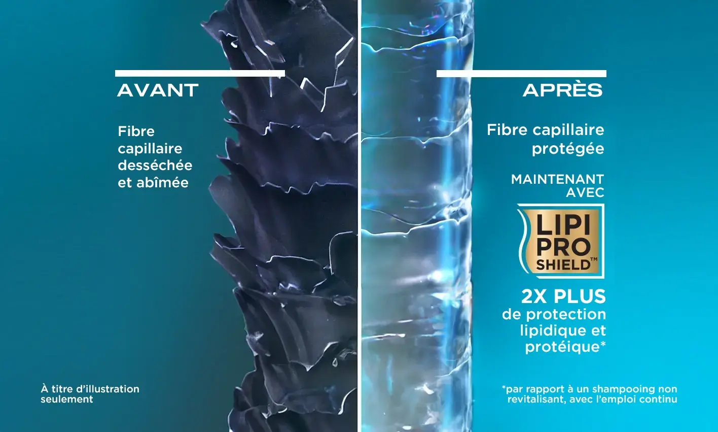 Comparaison de fibres capillaires abîmées et saines à côté du logo Lipi Pro Shield™