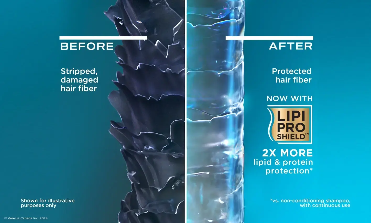 Demonstration of damaged and healthy hair fiber next to Lipi Pro Shield™ logo